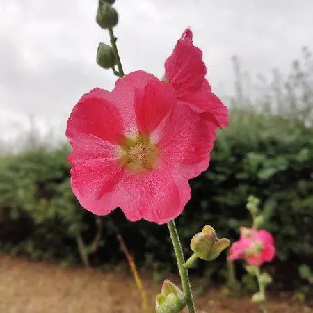 Wunder Villa Spottrup